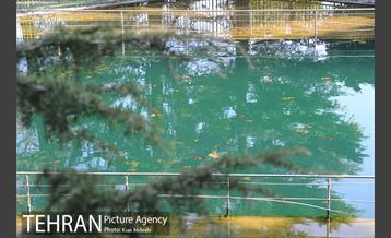 بوستان جمشیدیه (باغ سنگی جمشیدیه) 41