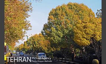 طبیعت پاییزی بلوار کشاورز 13