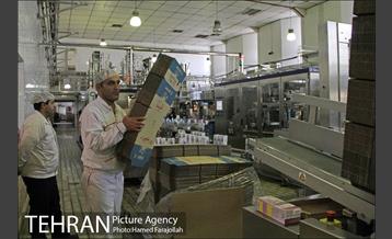 خط تولید شرکت صنایع شیر ایران 17