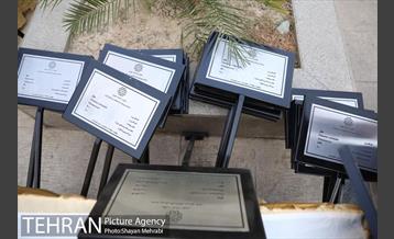 آیین نکوداشت درختان بالای صد سال تهران 18