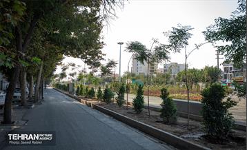 فاز نخست پروژه باغ راه حضرت فاطمه الزهرا(س) 10