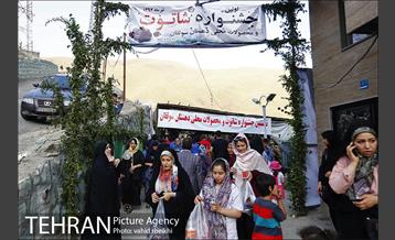 جشنواره شاتوت و محصولات محلی دهستان سولقان 1