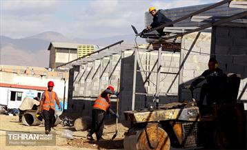 اینجا کارگاهه؛ بازار پرندگان خلیج فارس 11