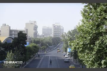 تهران خاکستری 20