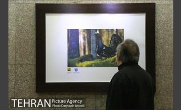 افتتاحیه نمایشگاه عکس چهار فصل کشور فنلاند 17