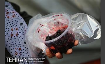 دومین جشنواره شاتوت دردهستان سولقان 21