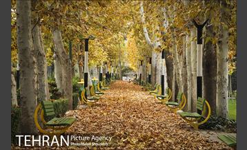 بوستان اندیشه(شهید منفرد نیاکی) 2