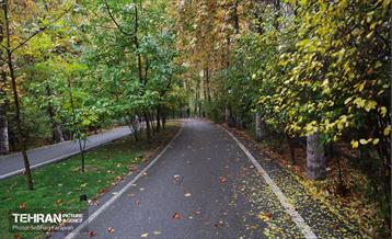 طبیعت پاییزی مجموعه فرهنگی تاریخی سعدآباد  27