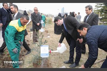 آئین روز درختکاری با حضور سفیران و نمایندگان کشورهای خارجی 13