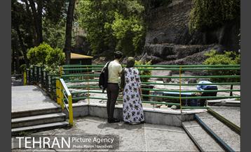 بوستان ساعی 11