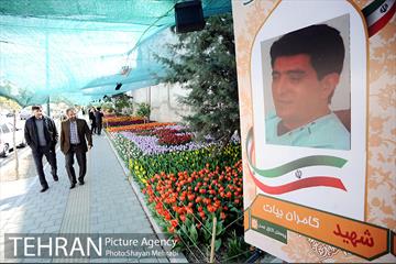 پیاده راه لاله مادران 20