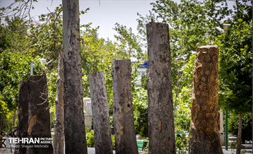 جان دوباره در درختستان 23