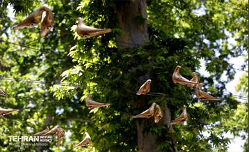 جان دوباره در درختستان 3