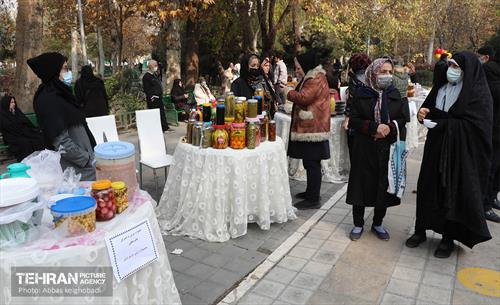 ضیافت طعم و رنگ در منطقه ۹ 12