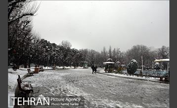 روز برفی بلوار کشاورز 5