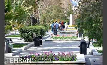 رویش گل های لاله در پارک ملت 21