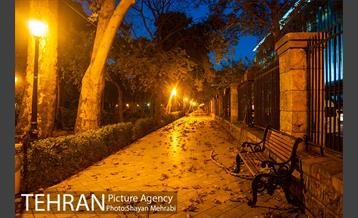 طبیعت پاییزی پارک شهر 25