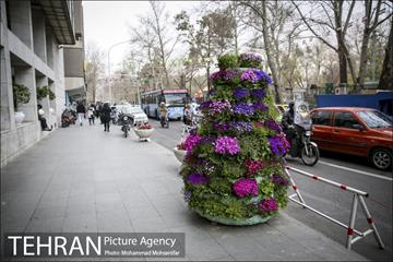استقبال از بهار در خیابانهای تهران 1