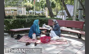 بوستان فدک‎ 16