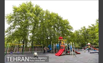 بوستان نیاوران 24