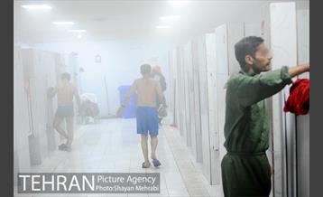 گرمخانه ها، دور از سرما 8