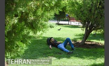 بوستان رسالت 14