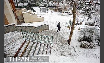 بارش برف زمستانی در تهران 12