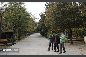 طبیعت پاییزی باغ راه فدک تهران 15