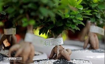 بیستمین نمایشگاه بین‌المللی گل و گیاه 58