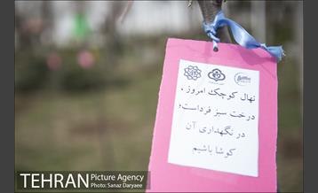 درختکاری و لانه گذاری کبوتر در بوستان بعثت 31