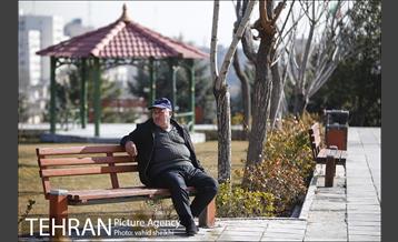 بوستان پرواز 19