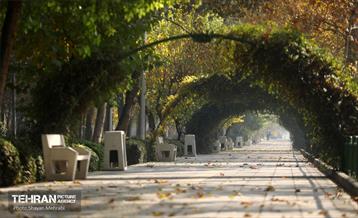 اینجا کارگاهه؛ منطقه پانزده 38