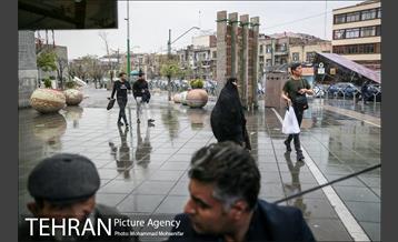 بارش باران بهاری در تهران 12