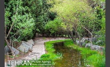 باغ گیاه‌شناسی ملی ایران 14