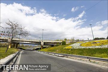 روز طبیعت متفاوت در شهر تهران 2 7