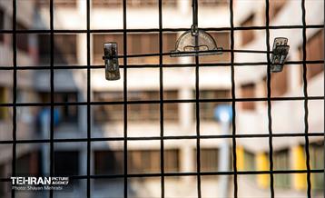 جای خالی پروانه ها 17