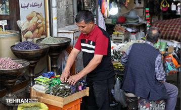 زندگی در تهران جاریست... 24