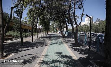 افتتاح بوستان ملل در منطقه ۳ 8