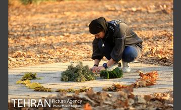 به رنگ پاییز 17