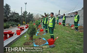 مراسم درختکاری به مناسبت روز مادر 37