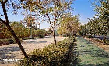 به وقت خدمت؛ باغ‌راه حضرت زهرا(س) محدوده آیت الله سعیدی 72