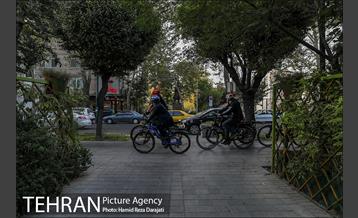 پویش سه شنبه های بدون خودرو 12