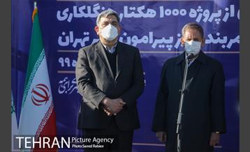 بازدید و افتتاح پروژه جنگل کاری 1000هکتاری در بوستان جنگلی تلو 24