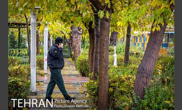 پاییز در بوستان المهدی(عج) 1