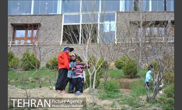 اوقات فراغت شهروندان در آبشار تهران 8