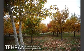 باغ گیاه‌شناسی ملی ایران 18
