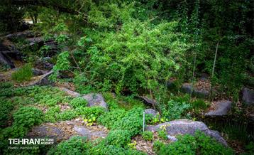 باغ گیاه‌شناسی 32