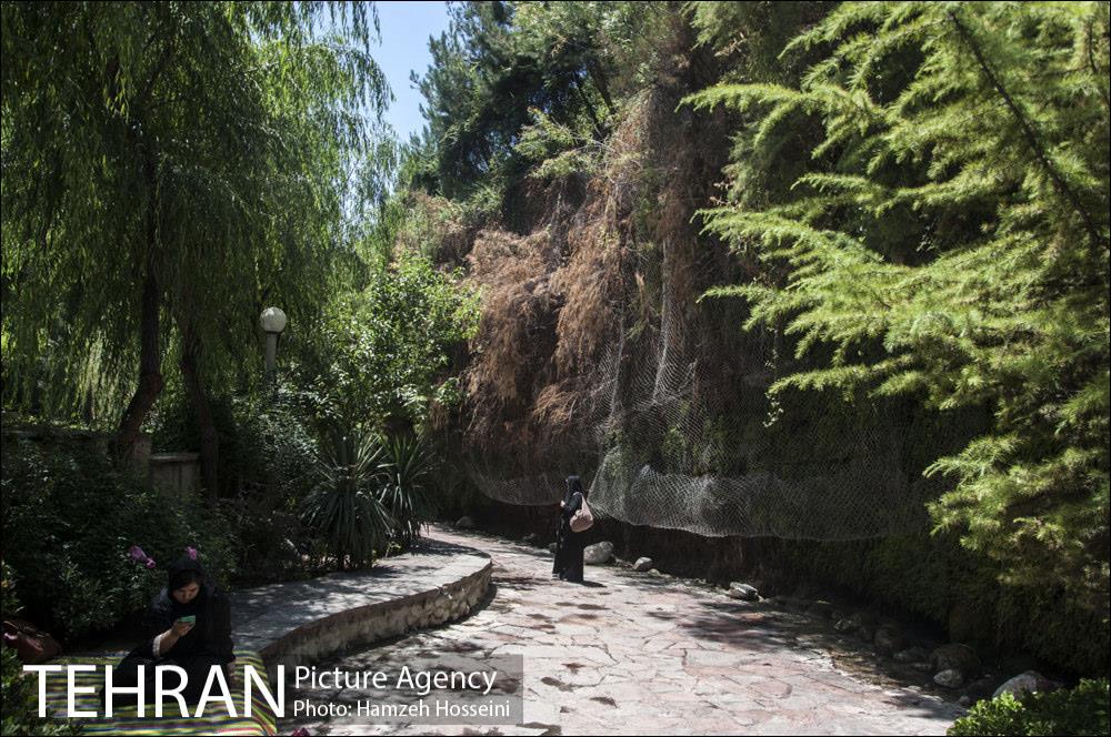 بوستان نهج البلاغه 1