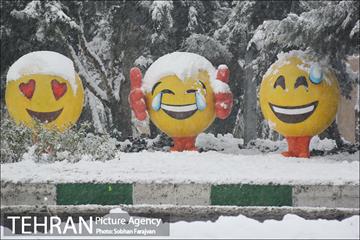 بارش برف زمستانی در تهران-2 12