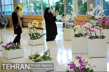 نمایشگاه بین المللی گل و گیاه 24